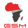 GSM Group Of Companies